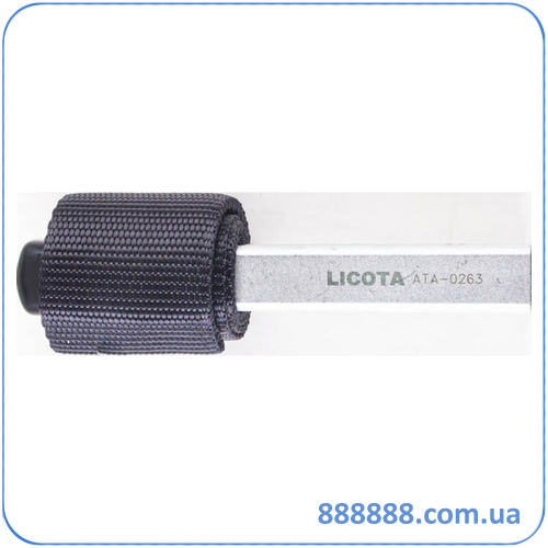    150     ATA-0263 Licota